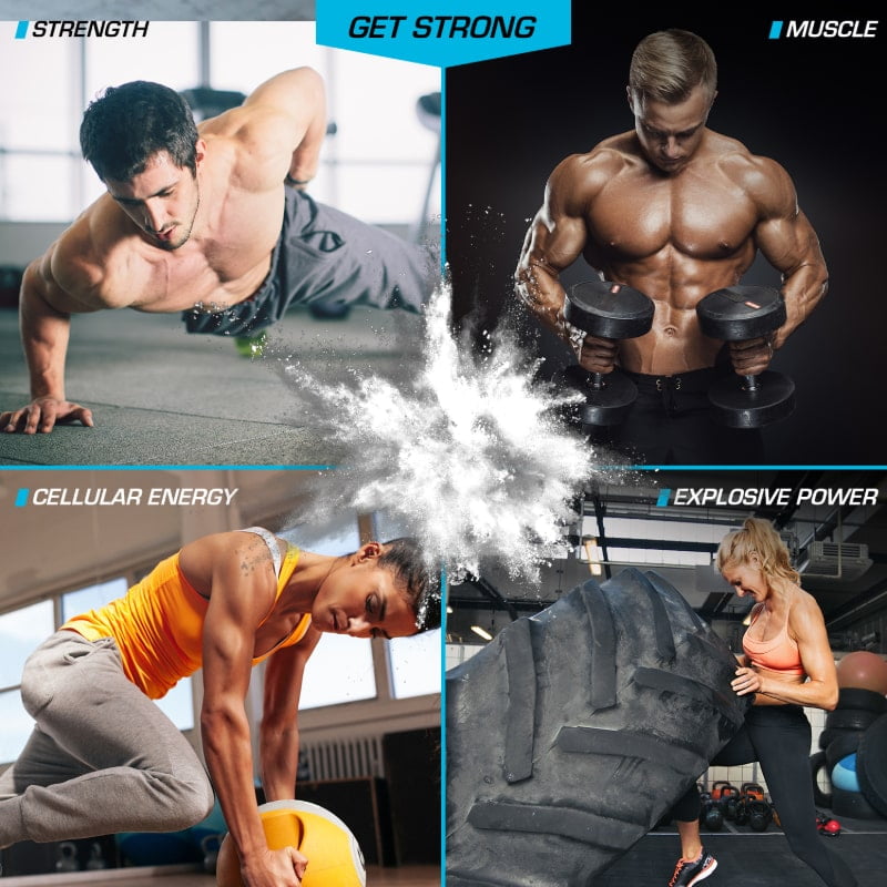 EFX Sports Kre Alkalyn EFX – Powder 500G