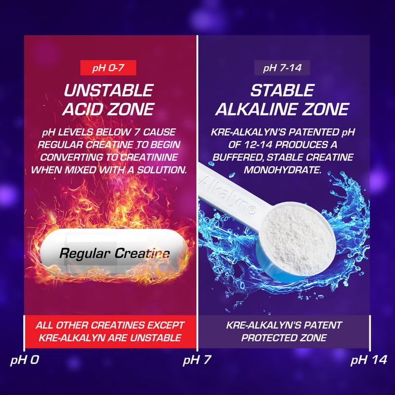 EFX Sports Kre Alkalyn EFX – Powder 500G